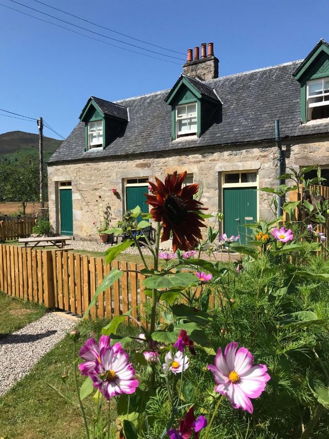 Stable Cottage, Crannachcottages Garve Exterior foto